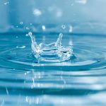 Verschil blender en sapcentrifuge?