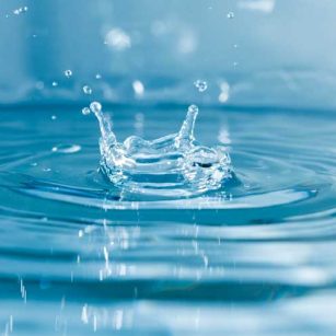 Overleven zonder drinkwater kies je voor zeewater of urine